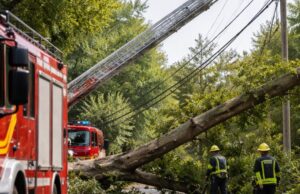 Intervento dei vigili del fuoco a Fosdondo per albero caduto sui cavi elettrici Intervento dei vigili del fuoco a Fosdondo per albero caduto sui cavi elettrici