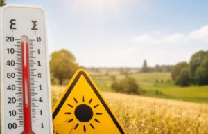 Allerta gialla per caldo intenso in provincia reggiana Allerta gialla per caldo intenso in provincia reggiana