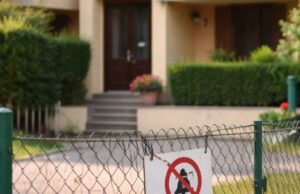 Arrestata una donna di 68 anni per stalking e vessazioni a Castelnovo Sotto Arrestata una donna di 68 anni per stalking e vessazioni a Castelnovo Sotto