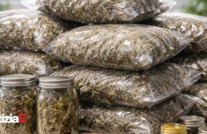 Arresto a Castelnovo Monti per possesso di marijuana e hashish Arresto a Castelnovo Monti per possesso di marijuana e hashish