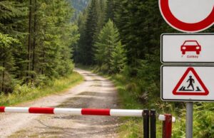 Controlli al Lago Pranda: elevate 11 sanzioni per violazioni ambientali Controlli al Lago Pranda: elevate 11 sanzioni per violazioni ambientali
