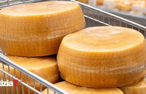 Due denunciati per furto di Parmigiano al Conad di Cadelbosco Due denunciati per furto di Parmigiano al Conad di Cadelbosco