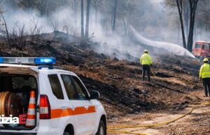 Incendio a Trinità: l’intervento della Protezione civile reggiana Incendio a Trinità: l'intervento della Protezione civile reggiana