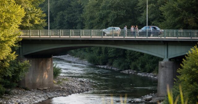 Intervento dei Carabinieri a Montecchio salva un 74enne sul ponte Enza Intervento dei Carabinieri a Montecchio salva un 74enne sul ponte Enza