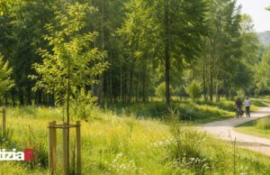 Proposta per un bosco urbano di comunità a Reggio Emilia Proposta per un bosco urbano di comunità a Reggio Emilia